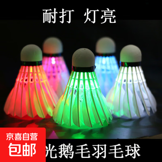 夜光羽毛球耐打实用尼龙防风材质户外家庭娱乐可控制开关 发光尼龙球5只装(绿色灯光) 1筒 无规格