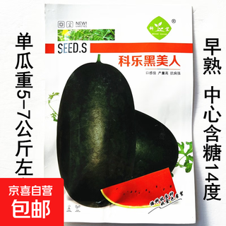 Base-specific seeds, watermelon seeds, watermelon balcony potted plants, farmhouse garden melon seeds, various kinds, kole black beauty original, about 200 capsules, 1 bag