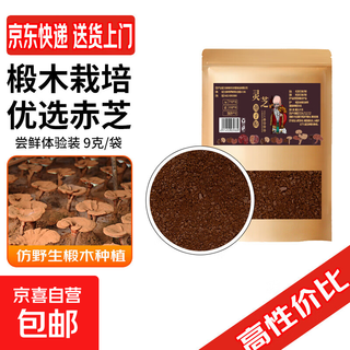 灵芝孢子粉  带粉赤灵芝头道孢子粉袍子粉 9克/袋（尝鲜体验装）