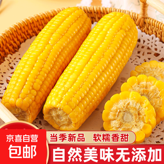 Northeast yellow waxy corn vacuum packaging instant corn soft waxy sweet meal replacement sticks 140g-180g 5 sticks special pack