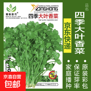 Vegetable seeds sown in pots for all seasons, balcony courtyard, cilantro, lettuce, spinach, radish, onion, simple and easy to sow seeds, four-season large-leaf cilantro, about 1,000 pieces