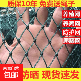 Chicken net, chicken net, fishing net, breeding net, fence net, nylon vegetable garden fence, climbing vine grid, chicken net, protective fish net, thickened 18 strands, 3 cm, thickened ribs, 1.2 meters high, 10 meters long