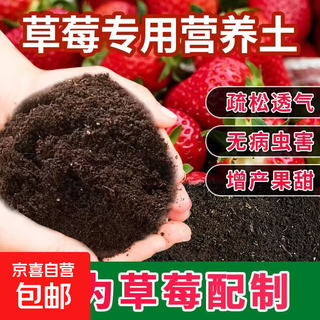 Strawberry special nutrient soil strawberry organic fertilizer special soil strawberry seedlings potted balcony planting soil strawberry special nutrient soil 10jin jin is equal to 0.5 kg
