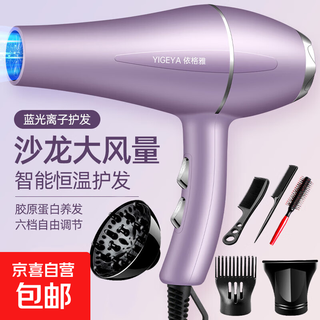 Hair salon strong wind hair dryer home high-power quick-drying blue light negative ion hair dryer hot and cold wind hair care mute hair care strong wind elegant purple free 6