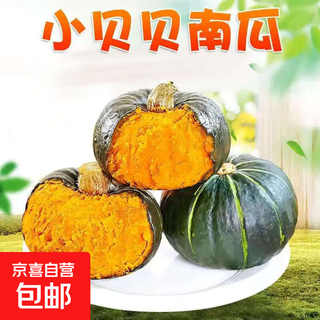 Authentic beibei pumpkin chestnut flavor powder glutinous and sweet baby food complementary fresh vegetables beibei pumpkin baby food complementary food tasting pack 500g