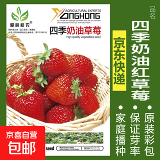 Vegetable seeds sown in pots for all seasons, balcony courtyard, cilantro, lettuce, spinach, radish, onion, simple and easy to sow seeds, four-season cream red strawberry, about 100 pieces