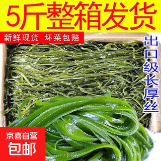 新鲜盐渍海带嫩苗凉拌菜火锅食材超厚海带根整箱5斤 新鲜盐渍海带丝5斤装