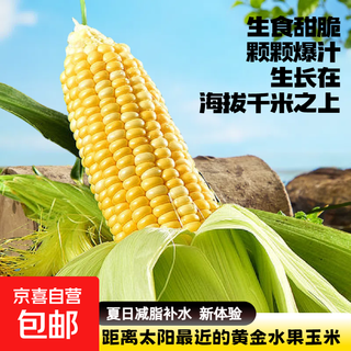 Yunnan plateau corn freshly picked fruit corn fresh sweet corn on the cob fresh vegetables can be eaten raw fresh fruit corn 4jin jin equals 0.5kg in box starting from 300g