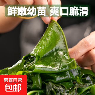 大连裙带菜 鲜海带非干货海带嫩苗儿童海菜海白菜海藻菜凉拌 裙带菜嫩叶500g