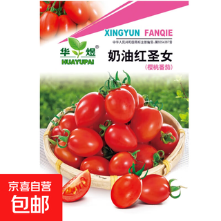 Red cherry tomato seeds cherry tomato vegetable tomato seed potted yellow cherry tomato vegetable seed huayu huayu original color pack 1 pack about 200 pieces