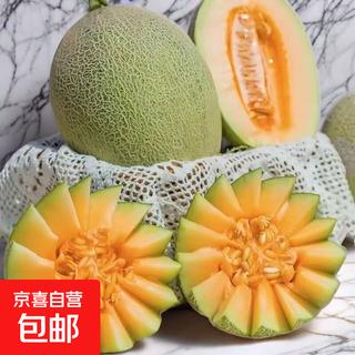 正宗山东哈密瓜晓蜜17新鲜现摘当季水果甜瓜 3-3.5斤