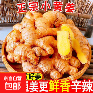 Yunnan small yellow ginger fresh old ginger 10jin jin is equal to 0.5 kg shajiangzi ginger confinement ginger south ginger farm freshly dug dried ginger ginger wholesale 5jin jin is equal to 0.5kg authentic small yellow ginger directly from the source