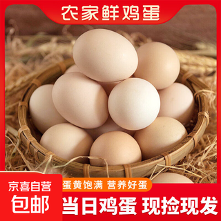 Special for take-out, free-range free-range eggs, farm orchard eggs, about 40g plus or minus 5g/piece, 15 pieces (only for take-out)