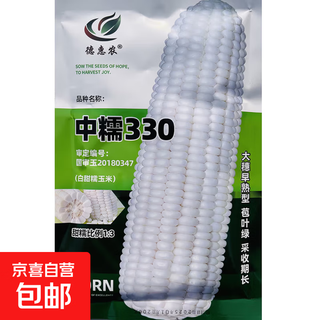 Weiße, süße und wachshaltige maissamen, ertragreich, zu jeder jahreszeit gesät, weißer und wachshaltiger mais, nicht übertragbar, staatlich anerkannt, supersüße und wachshaltige maissamen der landwirte, zhongnuo 330 maissamen, original 200 g, 1 beutel