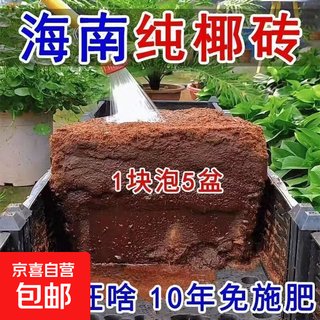 High foaming coconut brick nutritious soil compressed coconut bran desalination general soil for growing vegetables and flowers planting large pieces of coconut bran soil 6 coconut bricks high quality/high nutrition/high foaming