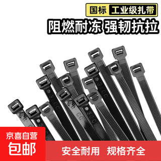 Nylon tie, easy-pull tie, plastic tie, cable tie, self-locking computer host installation, gardening, white tie holder, tightener, black - 2.5*100mm (about 50 pieces - limited time grab)