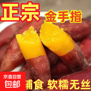 2025 freshly dug sweet potatoes, fresh sweet potatoes, chestnuts, sweet potatoes, sweet potatoes, soft and waxy golden finger thumb vegetables, 5 jin jin is equal to 0.5 kg, about 17~50 roots, directly picked from the source