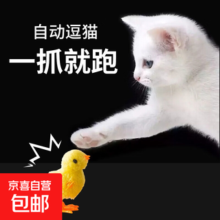 Cat toys to amuse young cats and kittens, simulated amusing cat plush clockwork chicks, cat supplies, self-stimulating cat relief tool, 2 amusing cat chicks randomly mixed in color