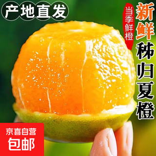 秭归夏橙带箱1斤装小果55-60mm（yfs） 秭归夏橙带箱1斤装小果55-60mm