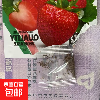 Family balcony potted plants for four seasons, creamy red strawberry seeds, large strawberry seeds, white strawberry fruit seeds, four seasons creamy red strawberry seeds, 3 packs