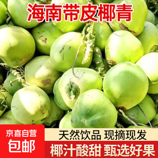 Hainan wenchang peeled green fresh coconut seasonal fresh whole box fruit natural coconut water origin straight hair 1 pack hainan coconut with skin