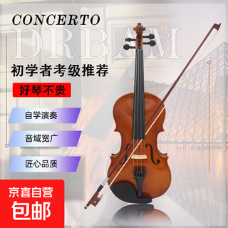 Handmade entry-level violin for beginners, children and adults practicing solid wood violin instrument 1/8 (with case)