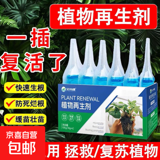 Plant regeneration agent resurrection liquid for flowers and green plants potted plants universal light stem yellowing money tree succulent growth nutrient solution 10 boxes of 60 pieces in total green leaves + strong roots + flower promotion