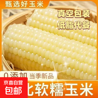 2025 first crop northeast white waxy corn sweet waxy sticky corn vacuum packed non-gmo sticky corn whole grain meal replacement white waxy corn 10 count 200-240g