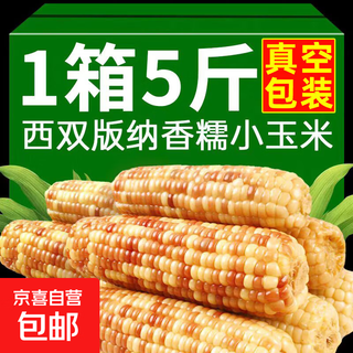 Yunnan huanuo small corn xishuangbanna fragrant waxy corn baby vacuum packaging ready-to-eat sweet and soft glutinous vegetables vacuum fragrant waxy small corn net weight 4.5jin jin equals 0.5kg 10-17 roots