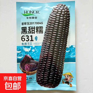 National approval corn seed sweet waxy corn seed hybrid corn white corn national approval corn seed black sweet nuo 631 corn seed 200g