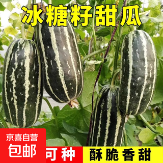 Bingtangzi melon, tooth-dropping melon seeds, cantaloupe seeds, four seasons garden spring and autumn fruits and vegetables, melon seeds g bingtangzi melon 2 packs + free fertilizer