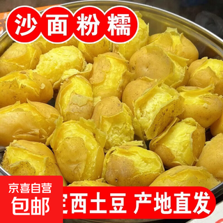 Gansu dingxi sha noodles potato flour waxy yellow skin large fruit potatoes potatoes fresh and edible 9jin jin equals 0.5kg net weight
