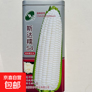 White, sweet and waxy corn seeds, high-yielding, sown in all seasons, white waxy corn, non-transferable, state-approved, farmhouse super sweet and waxy corn seeds, star nuo 54 corn seeds, original 500g 1 box