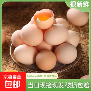 Jingxijia base direct delivery fresh eggs cereal eggs large eggs 50g fresh supermarket breakfast soft-boiled eggs express eggs 50g-10 pieces