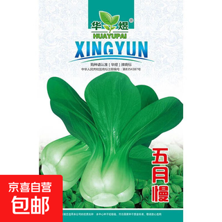 Shanghai green seeds for four seasons, small green vegetables, chicken feathers, fast vegetables, small cabbage, rape, heat, moisture and cold resistance, field use, original authentic may slow seeds, about 3600 capsules, 3 packs