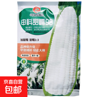 National approval corn seed sweet waxy corn seed hybrid corn white corn national approval corn seed shenke tiannuo 99 corn seed 100g