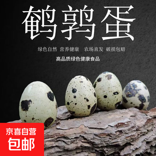 Home of quail, freshly picked farm grain quail eggs, baby food supplement for pregnant women, nutritious and healthy, 50 pieces of fresh quail eggs