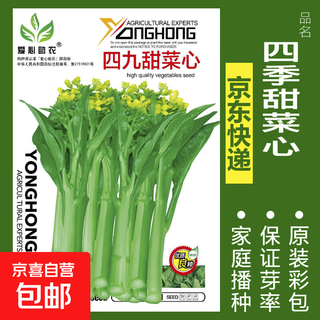 Vegetable seeds sown in pots for all seasons, balcony courtyard, cilantro, lettuce, spinach, radish, onion, simple and easy to sow seeds, four-season beet heart, about 500 capsules