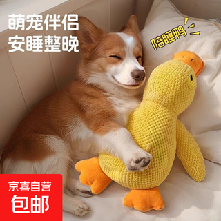 Pet toy plush sleeping duck, resistant to teeth grinding, making sounds to relieve boredom, cat pet toy charging duck, vocal companion duck (resistant to biting and tearing), small size (22*10*9) cm