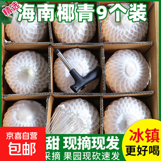 Hainan green coconut fresh coconut seasonal peeled green coconut green coconut sour sweet thirst quenching fruit coconut juice (better flavor refrigerated) free coconut opener 2 pack single fruit 800g+