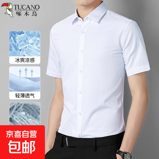 Woodpecker (tucano) spring and summer new men's short-sleeved shirt high-end white shirt casual business white 3xl /42