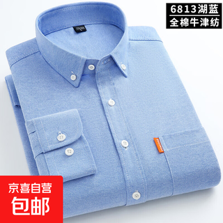 Мужская оксфордская рубашка из чистого хлопка с длинными рукавами, весна 2025, повседневная куртка-рубашка без глажки против морщин для людей молодого и среднего возраста 6813 lake blue 3xl Рекомендуется 150-160 Джин Джин равен 0,5 кг
