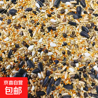 Black phoenix bird food mixed food for small and medium parrots tiger peony special feed millet millet ghana granular bird food nutritionally balanced | full price small and medium parrot food 480g