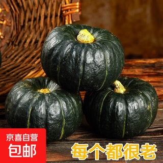 Authentic beibei pumpkin old pumpkin sweet and glutinous beibei small pumpkin baby food complementary fresh pumpkin vegetable fresh beibei pumpkin small fruit 5jin jin equals 0.5kg with box