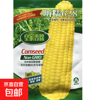 White, sweet and waxy corn seeds, high-yielding white waxy corn, non-transformed for all-season sowing, national-approved farmers’ super-sweet and waxy corn seeds, xinnuo 628 corn seeds, original 200g, 1 bag