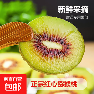 Jingxijia sichuan red heart kiwi fruit fresh fruit in season freshly picked kiwi fruit whole box small fruit 50-70g 6 pieces
