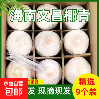 Hainan wenchang coconut green seasonal peeled coconut for pregnant women fresh raw coconut whole box fruit natural coconut water 9 pieces hainan fresh peeled green coconut
