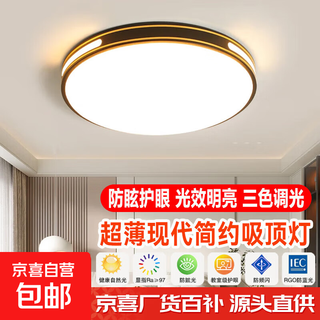 25 years new led round ceiling lamp simple modern bedroom lamp room corridor kitchen balcony aisle lamp black gold wire 40cm-48w-white light