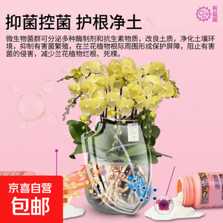 Special bacteria for flowers, microbial inoculant, root strengthening, root root prevention, root rot prevention, water-soluble fertilizer, orchid bacteria powder, fertilizer, plant live bacteria powder, plant live bacteria powder, 250g, large-scale version, 6 bottles, big discount