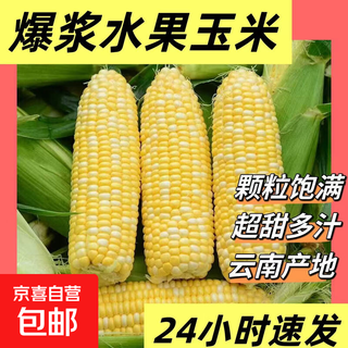 High-quality sweet corn, fresh fruit corn, freshly picked tender corn, sweet fruit corn, nutritious breakfast juice, 1.8-2jin jin equal to 0.5kg, with box, 2-3 pieces, starting from 300g/root